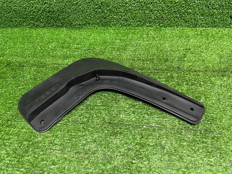 Брызговик, 1000 рублей, Москва