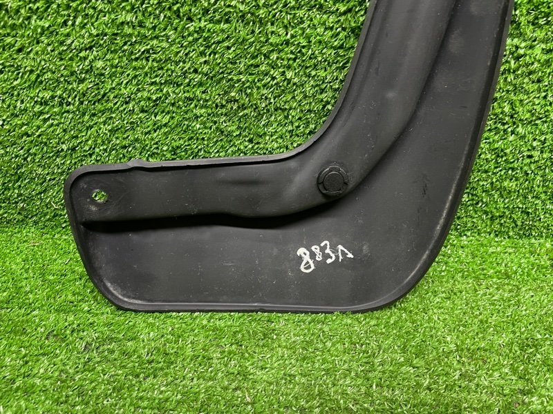 Брызговик, 1000 рублей, Москва