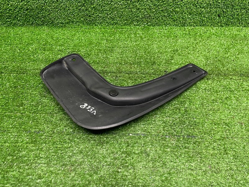 Брызговик, 1000 рублей, Москва