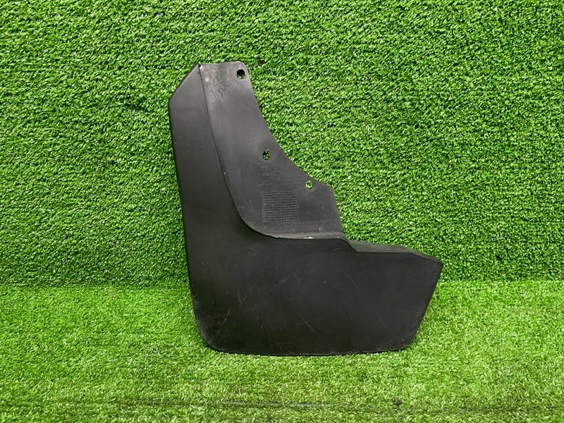 Брызговик, 1000 рублей, Москва