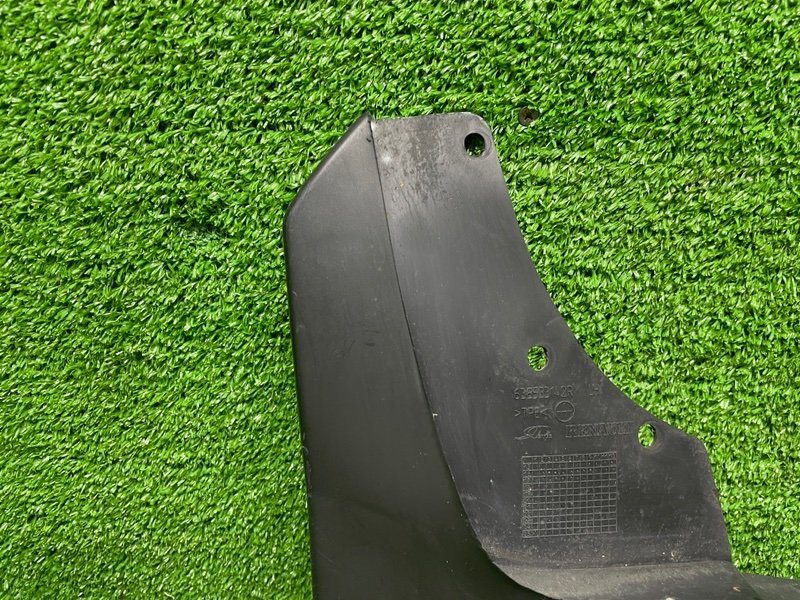 Брызговик, 1000 рублей, Москва