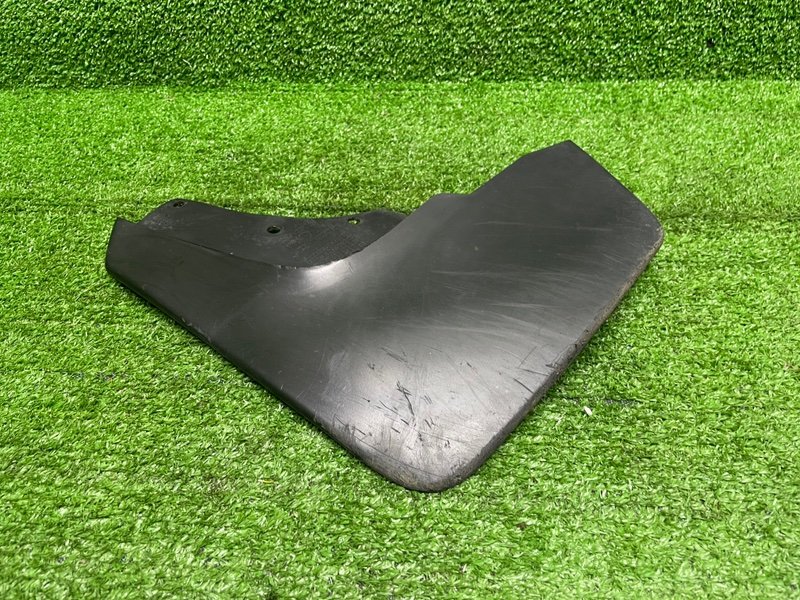 Брызговик, 1000 рублей, Москва