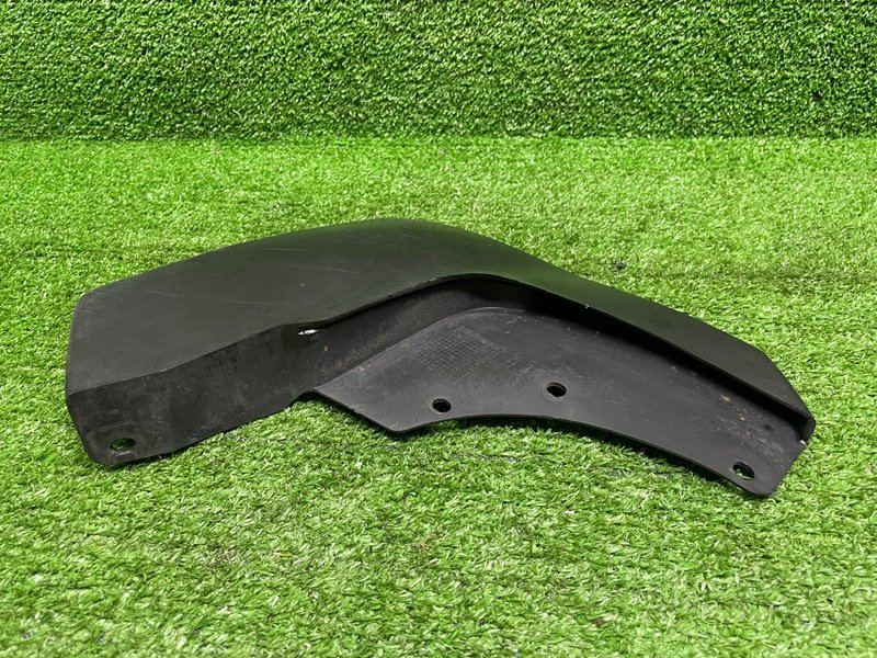 Брызговик, 1000 рублей, Москва