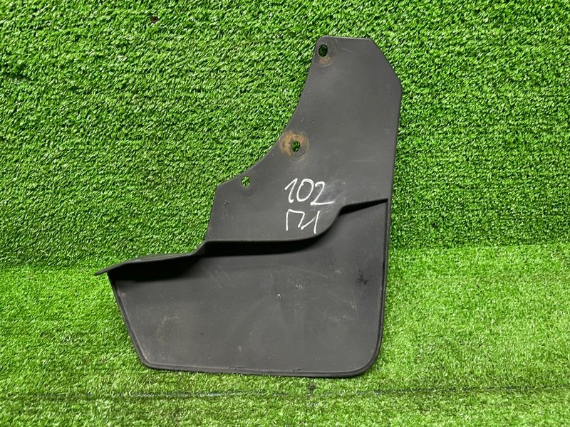 Брызговик, 1000 рублей, Москва