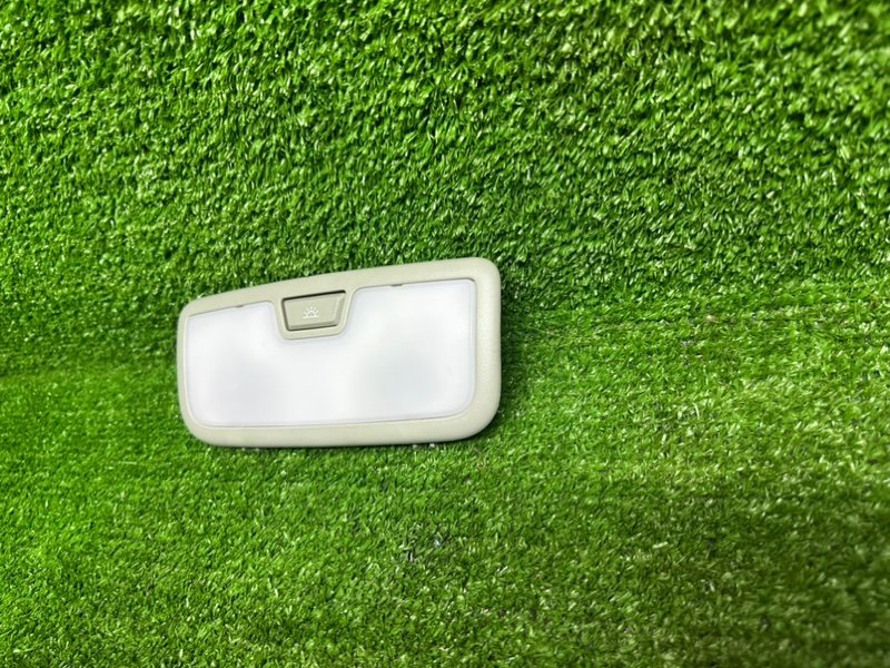 Плафон салонный, 1000 рублей, Москва