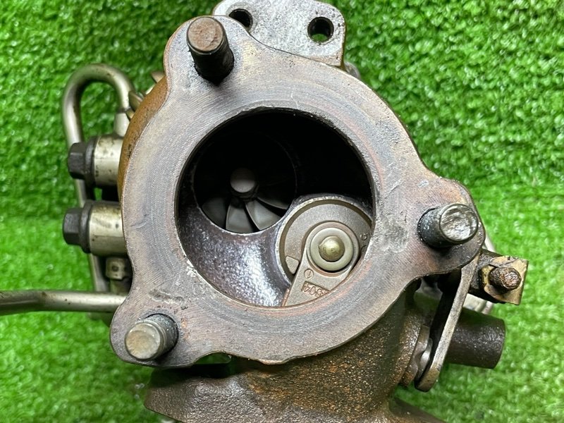 Турбина, 30000 рублей, Москва