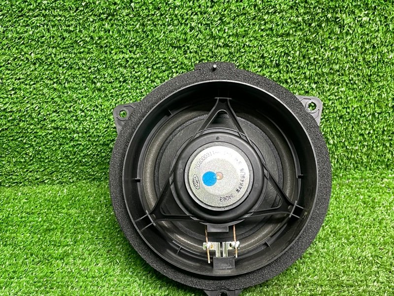 Динамик, 1000 рублей, Москва