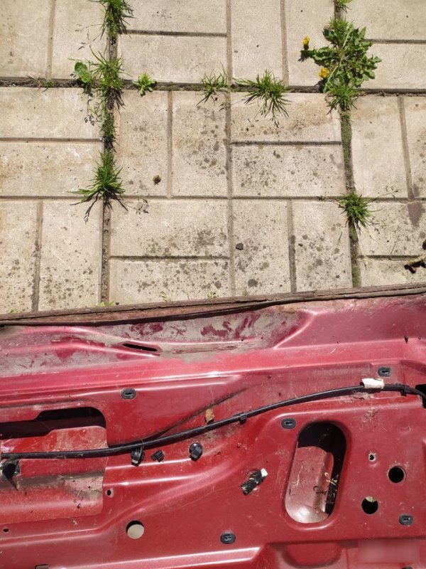 Борт, 3000 рублей, Орёл