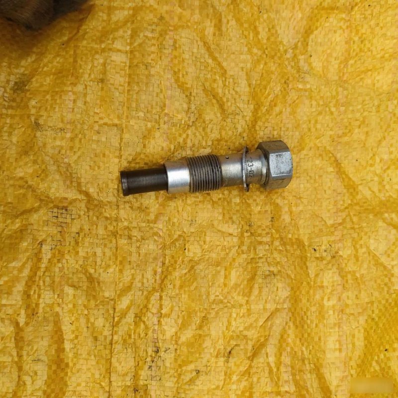 Натяжитель цепи ГРМ, 1500 рублей, Орёл