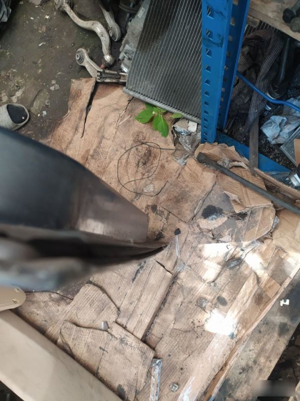 Дверь, 10000 рублей, Орёл