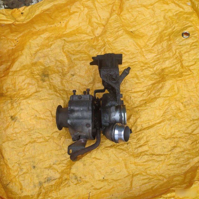 Турбина, 14000 рублей, Орёл