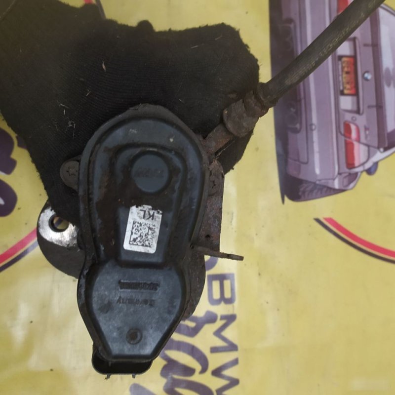 Суппорт, 5000 рублей, Орёл