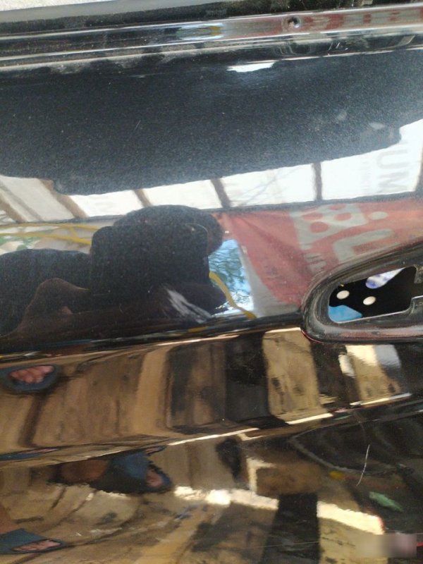 Дверь, 8000 рублей, Орёл