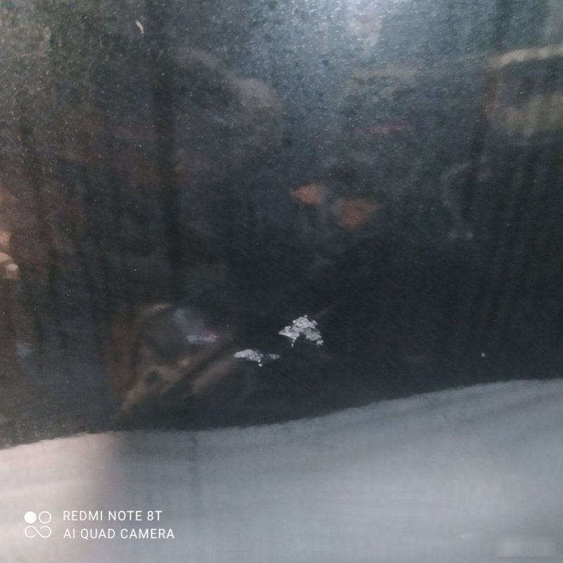 Дверь, 12000 рублей, Орёл