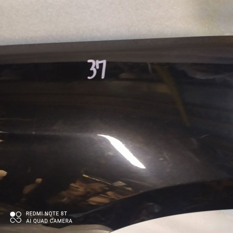 Крыло, 9999 рублей, Орёл