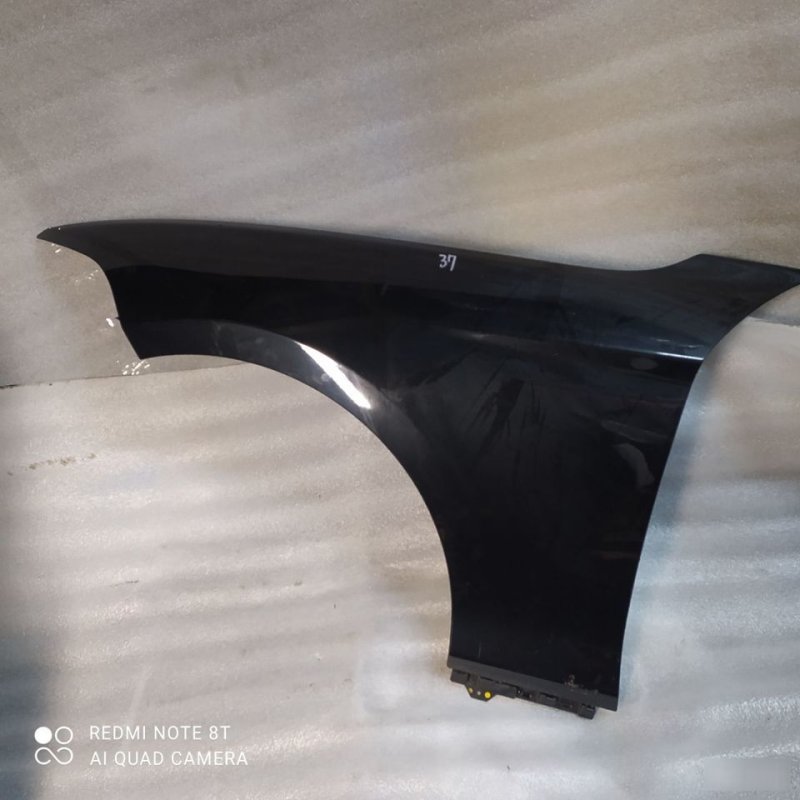 Крыло, 9999 рублей, Орёл