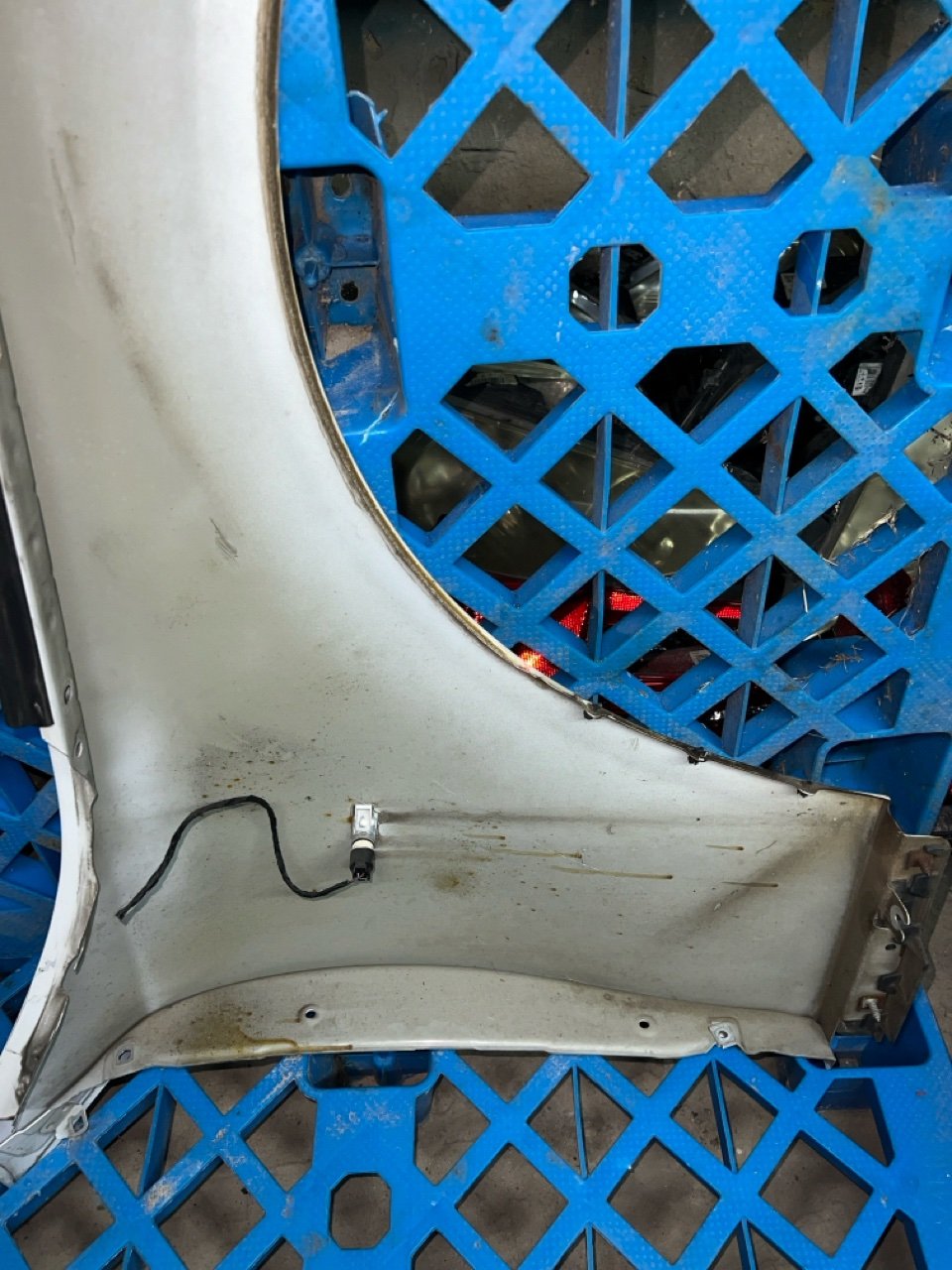 Крыло, 8000 рублей, Орёл