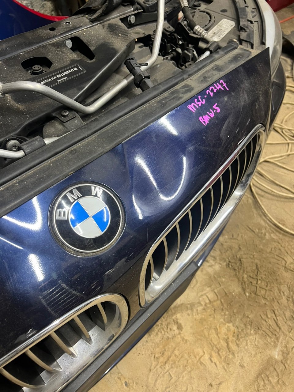 Ноускат, 130000 рублей, Орёл