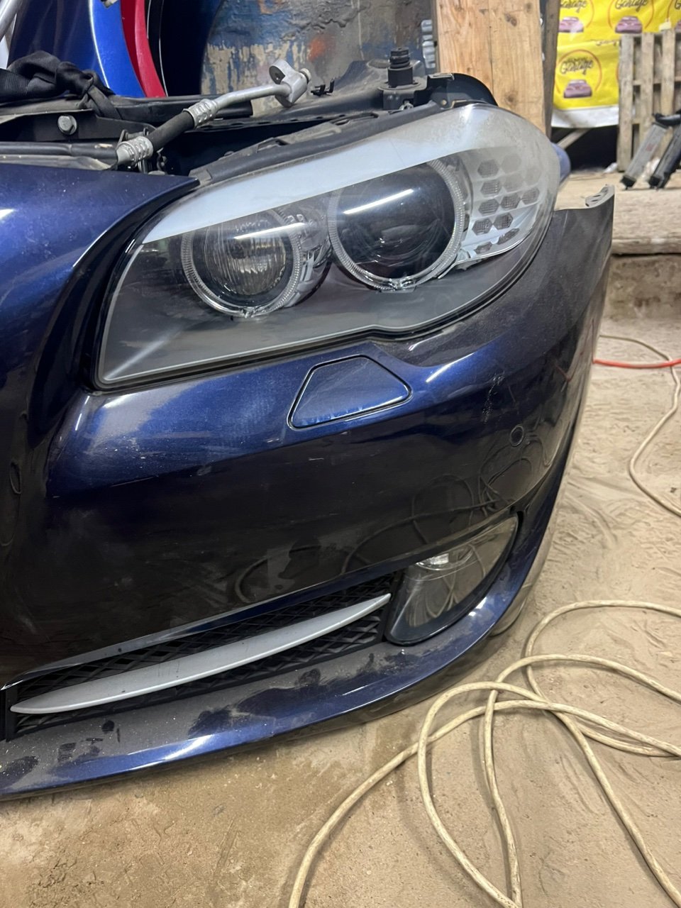 Ноускат, 130000 рублей, Орёл