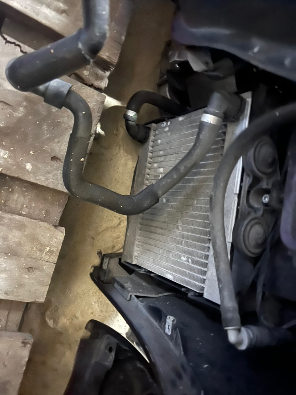 Ноускат, 130000 рублей, Орёл