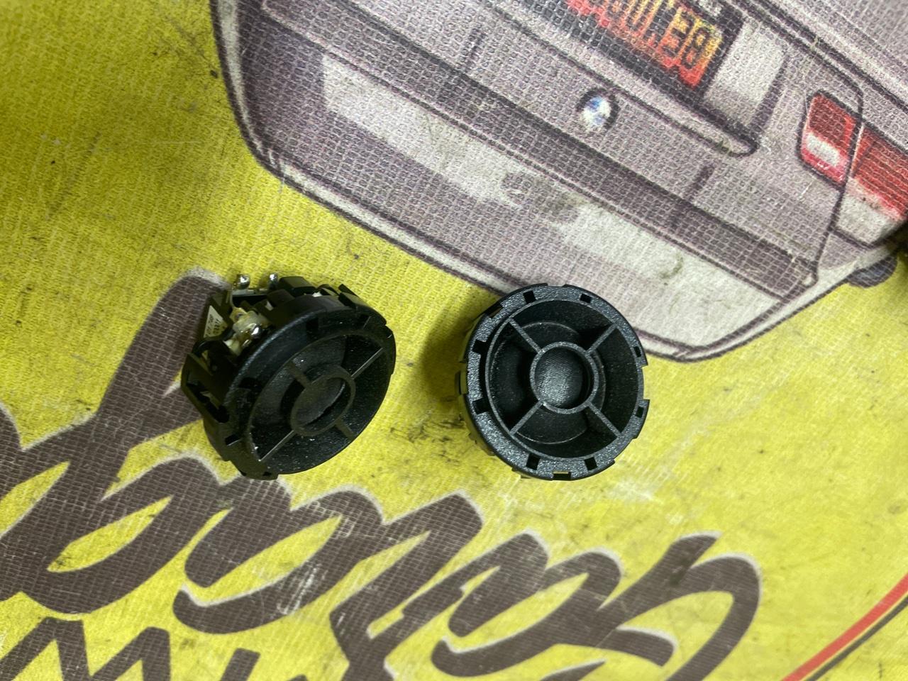 Высокочастотный динамик, 1000 рублей, Орёл