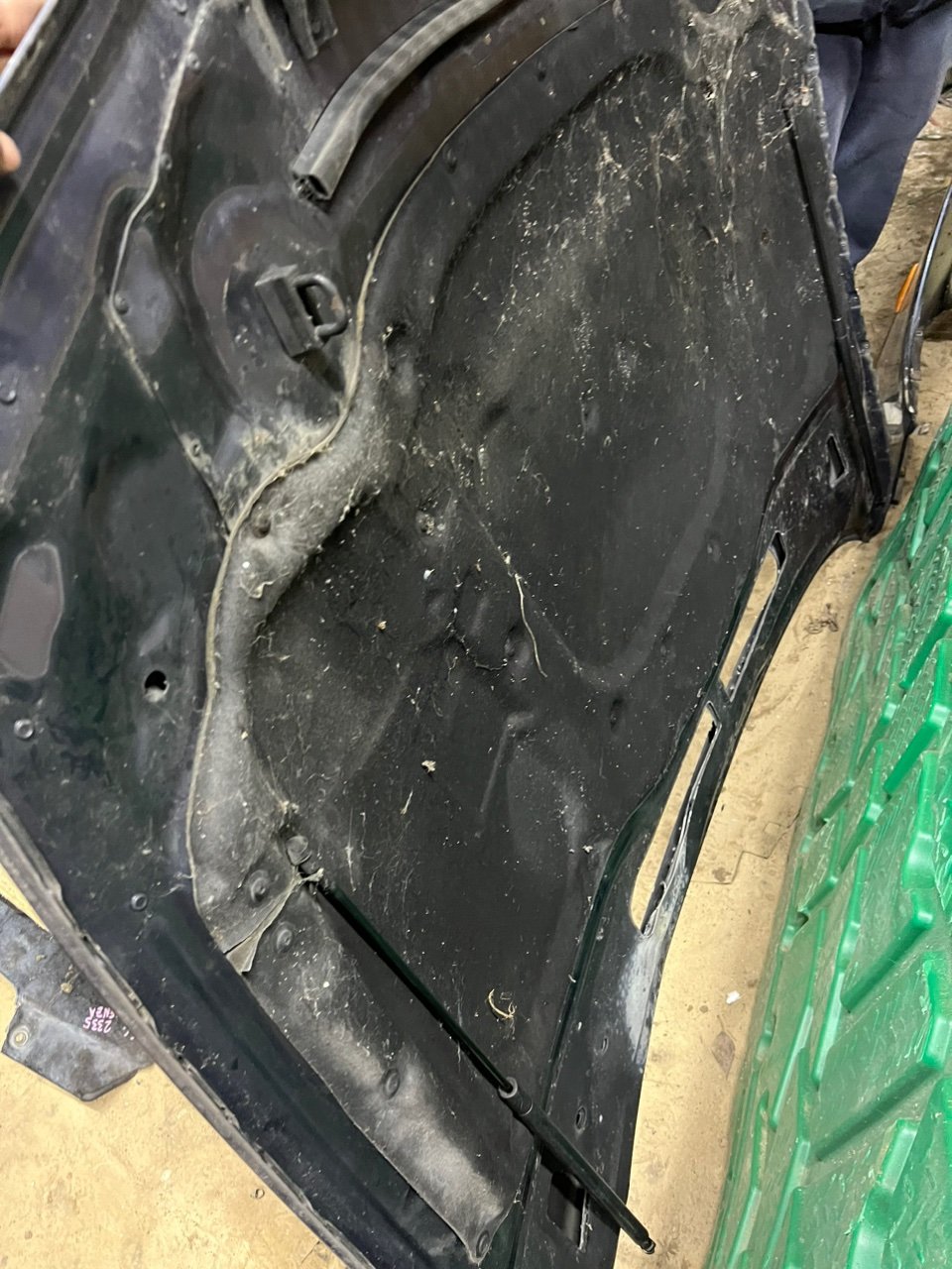 Капот, 8000 рублей, Орёл