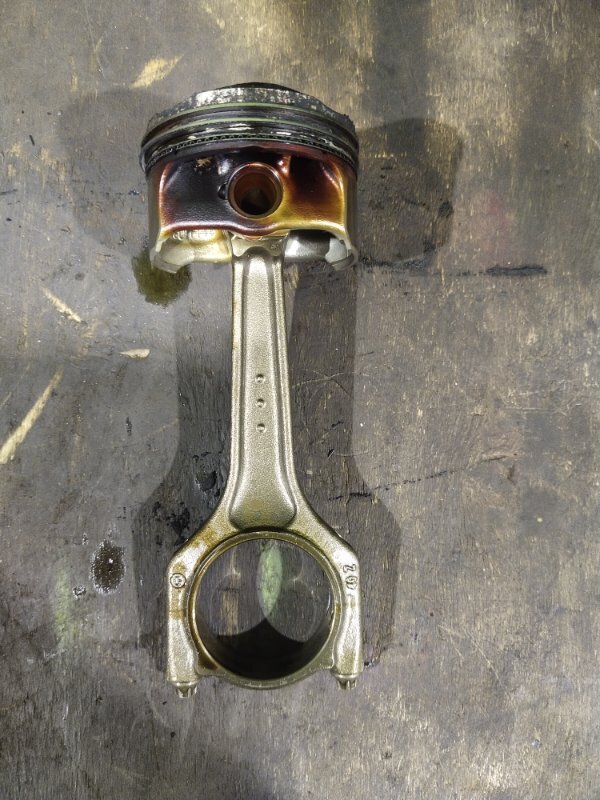 Шатун, 3000 рублей, Красноярск