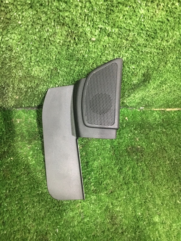 Накладка крепления зеркала, 1000 рублей, Красноярск