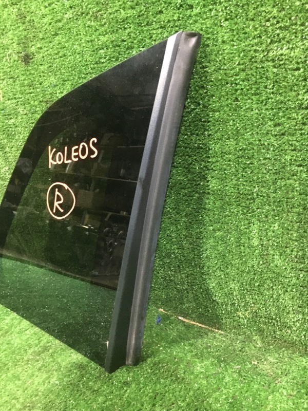 Стекло собачника, 700 рублей, Красноярск