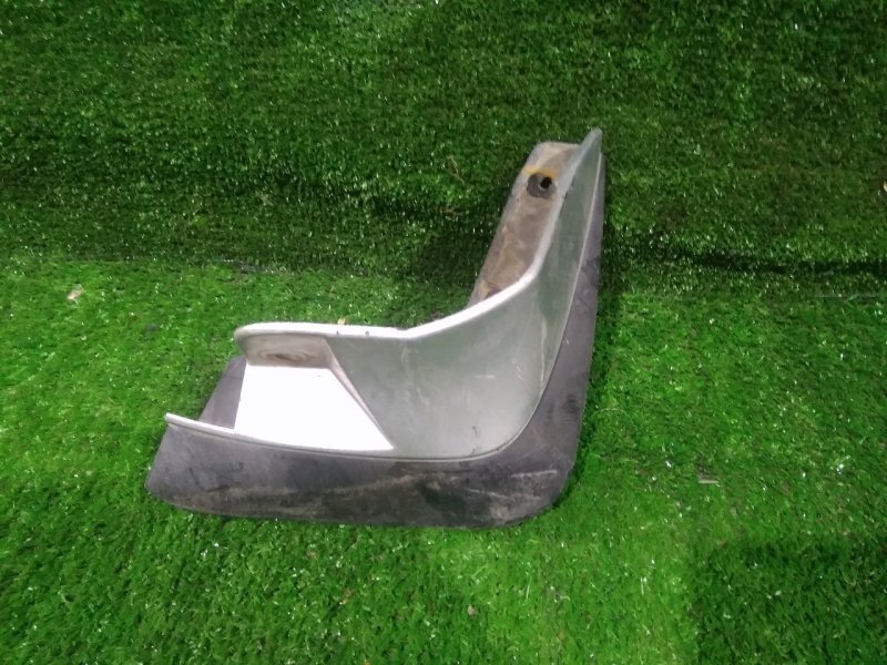 Брызговик, 100 рублей, Красноярск