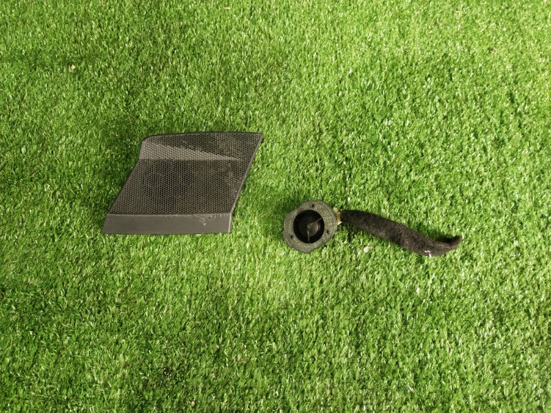 Динамик, 1000 рублей, Красноярск