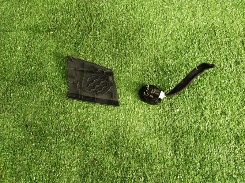 Динамик, 1000 рублей, Красноярск