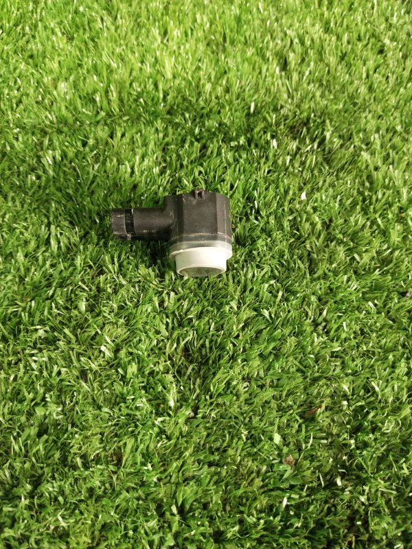 Парктроник, 1000 рублей, Красноярск