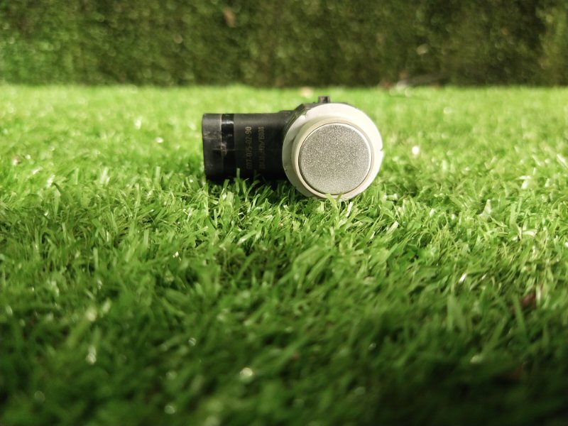 Парктроник, 1000 рублей, Красноярск