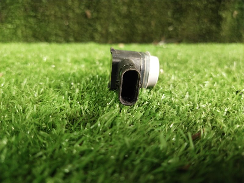 Парктроник, 1000 рублей, Красноярск