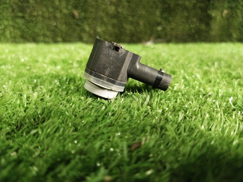 Парктроник, 1000 рублей, Красноярск