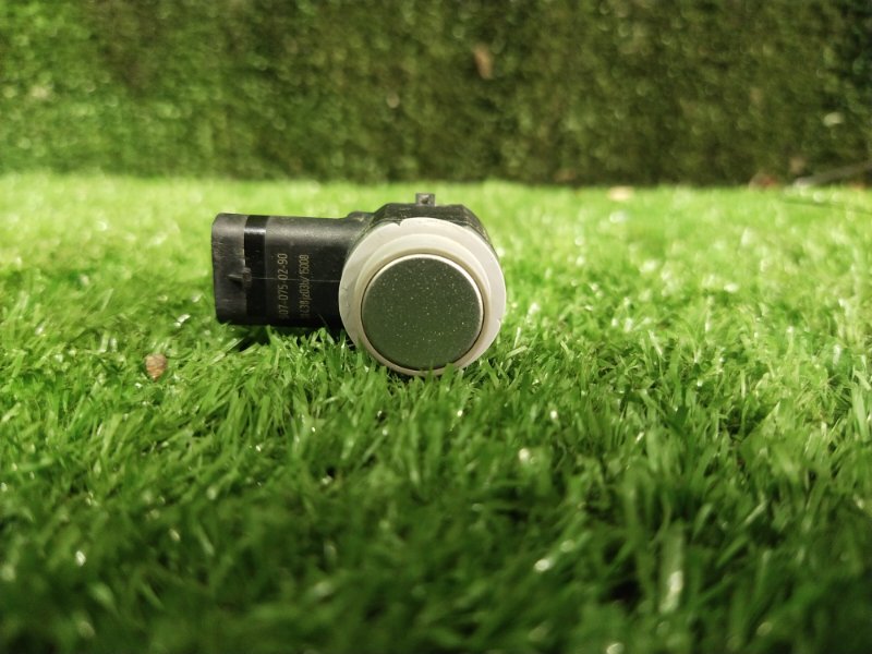 Парктроник, 1000 рублей, Красноярск