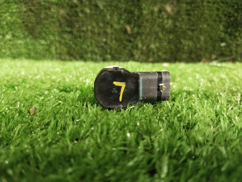 Парктроник, 1000 рублей, Красноярск