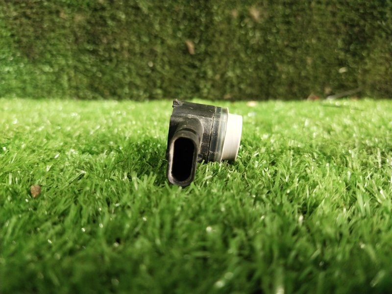 Парктроник, 1000 рублей, Красноярск