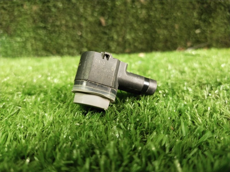 Парктроник, 1000 рублей, Красноярск