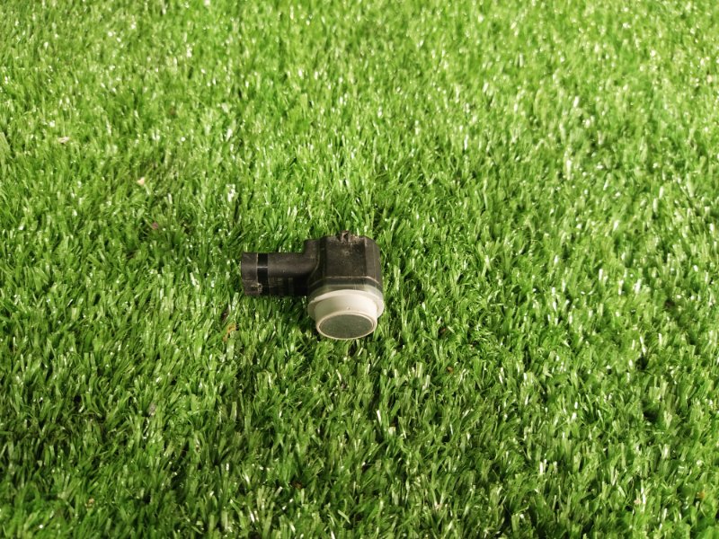 Парктроник, 1000 рублей, Красноярск