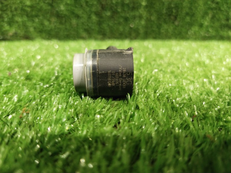 Парктроник, 1000 рублей, Красноярск