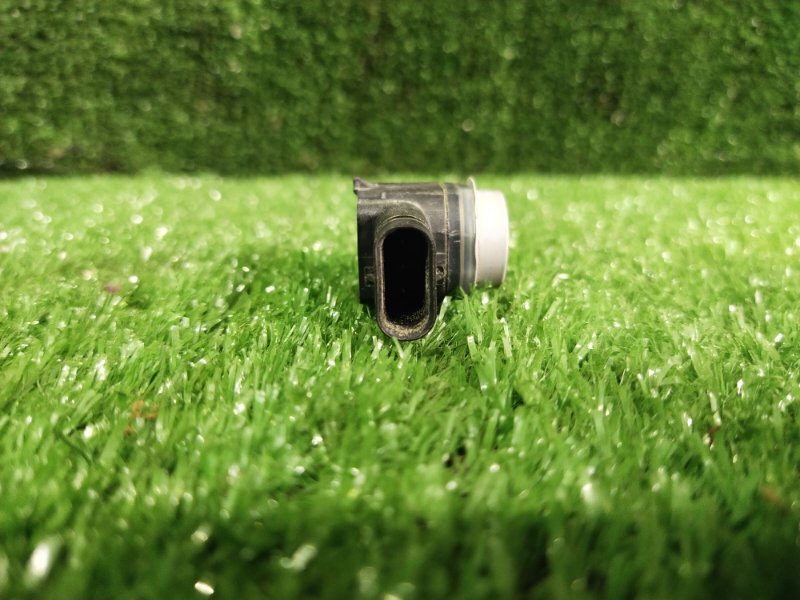 Парктроник, 1000 рублей, Красноярск