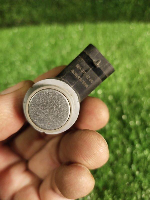 Парктроник, 1000 рублей, Красноярск