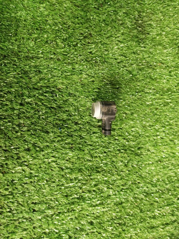 Парктроник, 1000 рублей, Красноярск