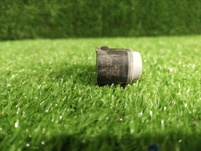 Парктроник, 1000 рублей, Красноярск