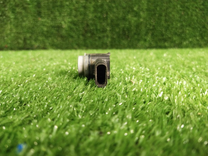 Парктроник, 1000 рублей, Красноярск