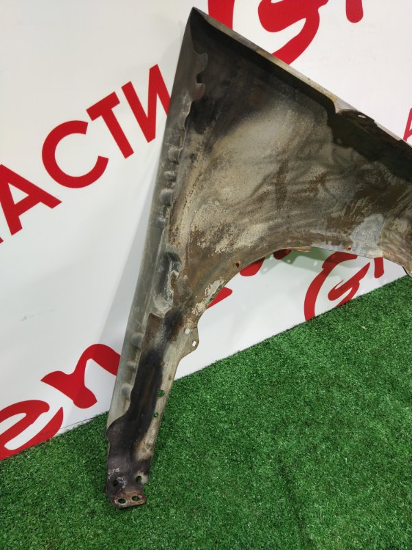 Крыло, 1000 рублей, Красноярск