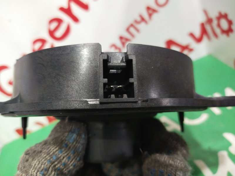 Динамик, 1000 рублей, Красноярск