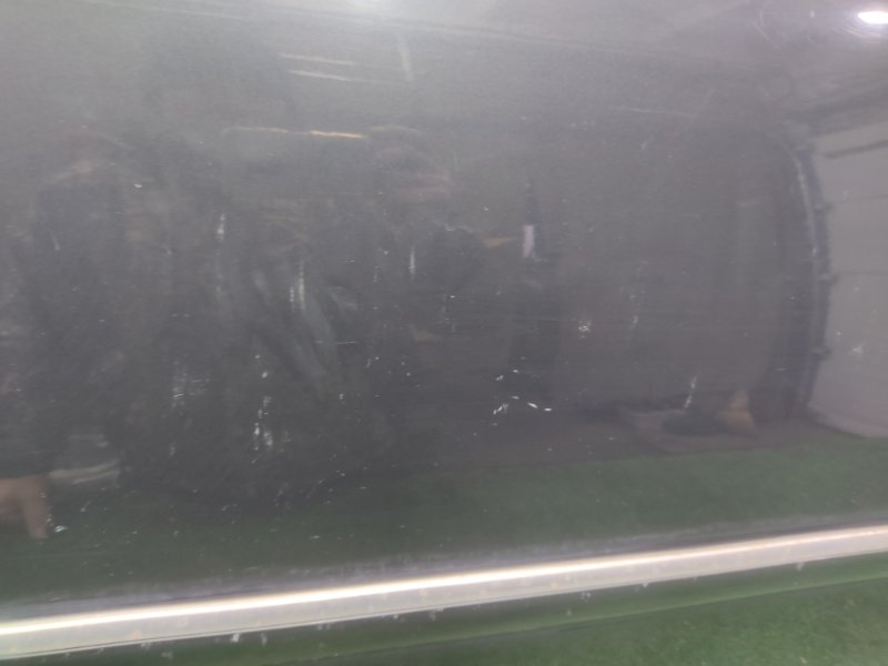 Дверь боковая, 7000 рублей, Красноярск